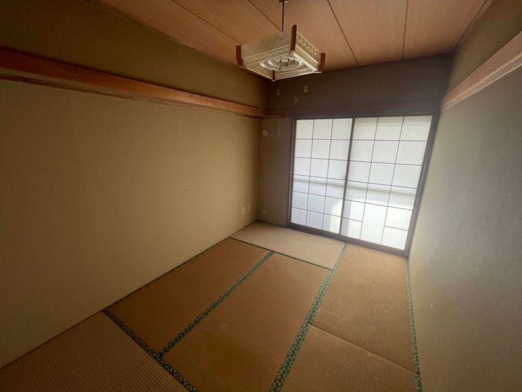 現地写真(2025年10月撮影)