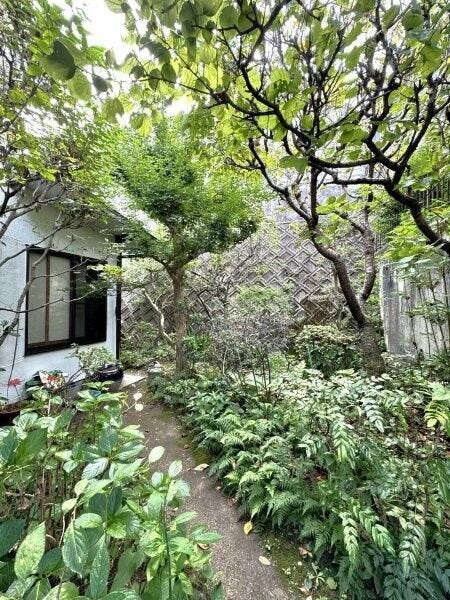 庭には、木々があり四季を感じさせる花を植えるのも良さそうですね!