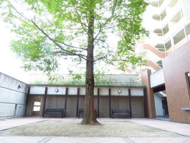 中庭があります。大きな木があり、ゆったりとした空間です。