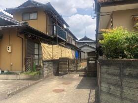 概観画像