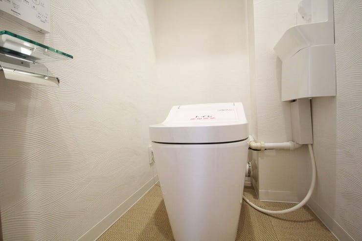 いつも清潔なスペースであってほしいのが毎日使うトイレです。掃除がしやすいのはもちろん、落ち着けるスペースにしたいですね。