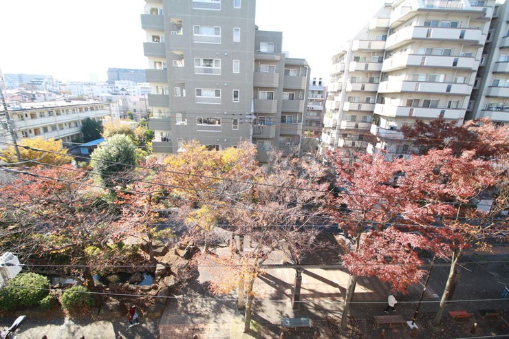 つい深呼吸をしたくなる気持ちの良い眺望はこのお部屋の自慢です。