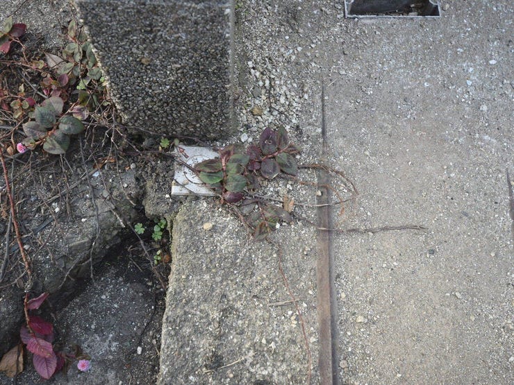 北面境界 2026.01.25