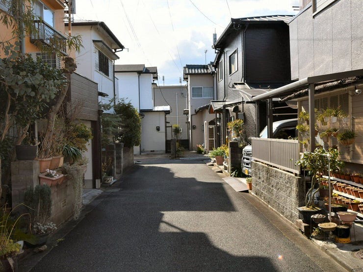 北側道路 2026.01.25