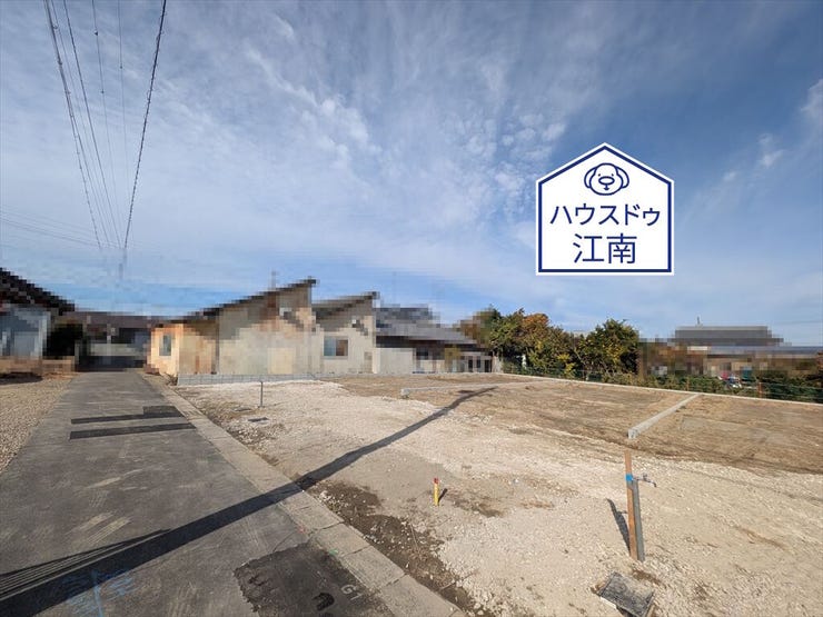 全体
2025/11/24撮影