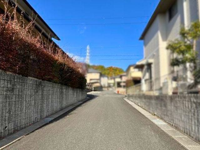 東側の前面道路、幅員約5mです。2台の車がすれ違うことが出来る道幅です。車の出し入れもゆったりとする事が出来ます。
(2025年11月28日 撮影)