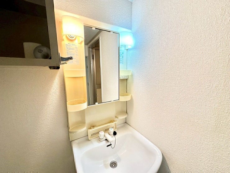 大きなボウルの使い勝手のよい洗面台です。