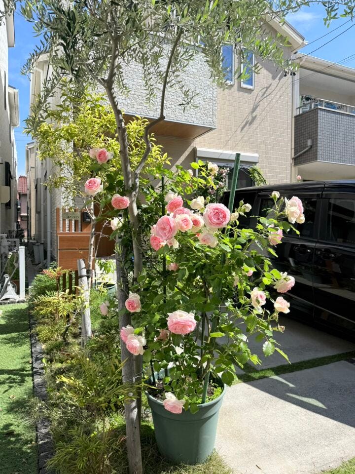 ◇現地写真◇