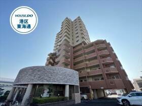 概観画像
