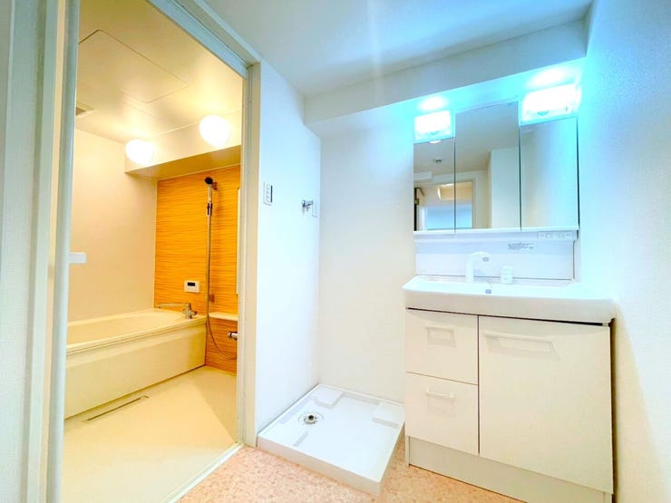 毎日使う場所だからいつもきれいにしておきたい場所。収納物が多い洗面化粧台だからこそ、出し入れしやすく使いやすいスッキリ保てる豊富な収納スペースを確保。