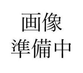 概観画像