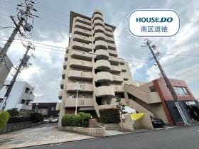 概観画像