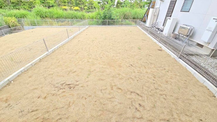 【庭】
コンテナガーデンを取り入れればトマトなどの作物を育てて家庭菜園が楽しめます♪
限られたスペースだからこそ手入れがしやすく、お花やグリーンを飾り、癒し空間として暮らしに彩りを添えられます♪