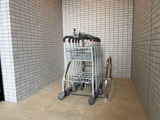 (2025年3月6日撮影)