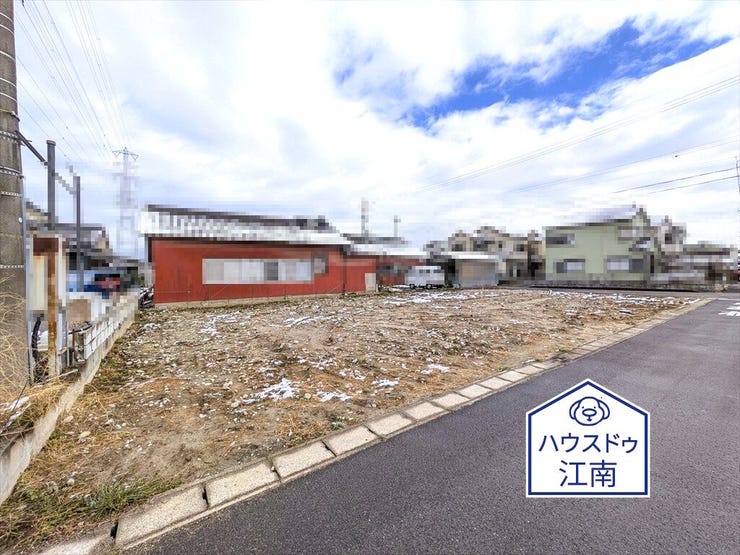 全体
2026/1/23撮影