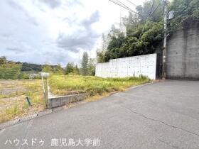 概観画像