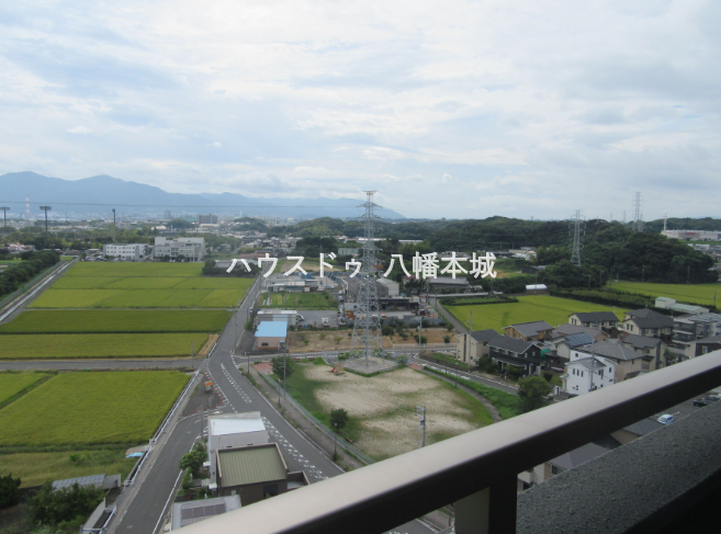 現地からの眺望