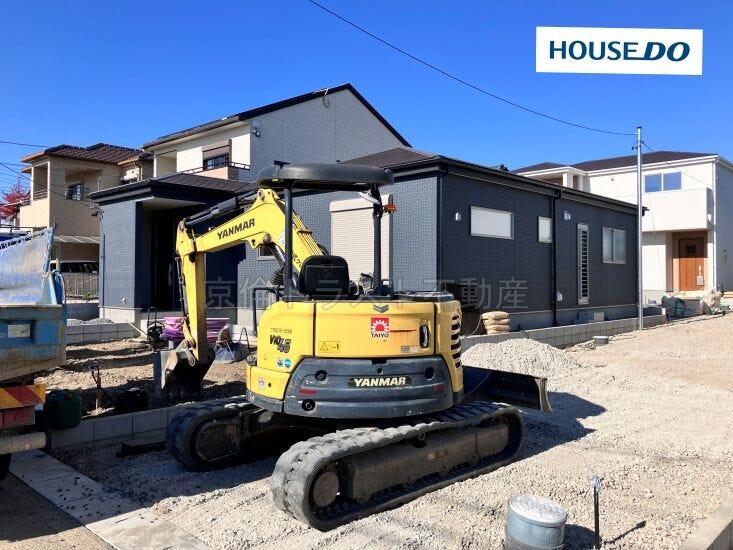 2025年11月20日撮影