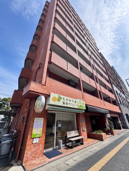 【外観】
〈角部屋〉高宮駅徒歩7分♪スーパー徒歩8分の便利な住環境です♪天神が近くて便利です!