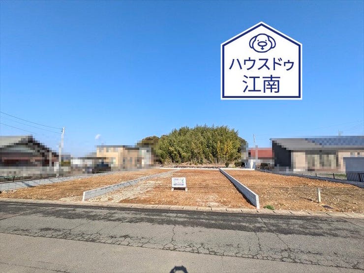 全体
2026/1/16撮影