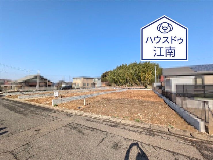 全体
2026/1/16撮影