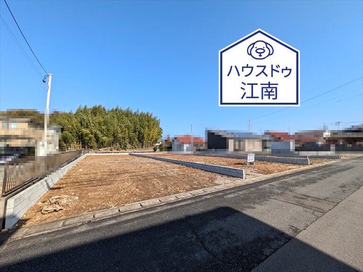 全体
2026/1/16撮影