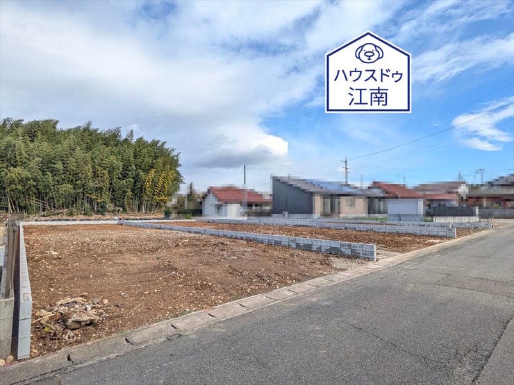 全体
2025/12/5撮影