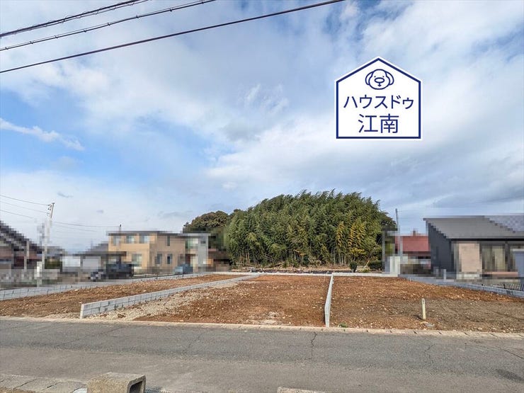 全体
2025/12/5撮影