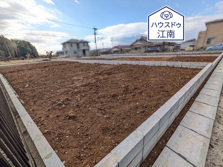 全体
2025/12/5撮影