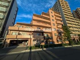 葛飾区青戸７丁目