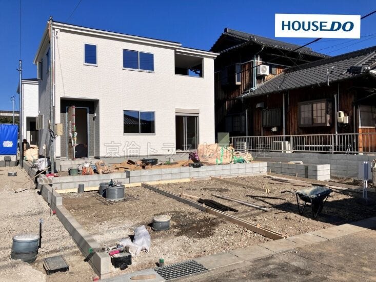 2025年11月20日撮影