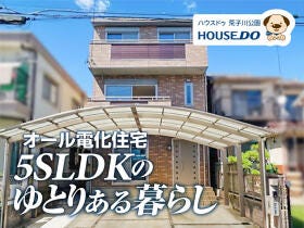 概観画像