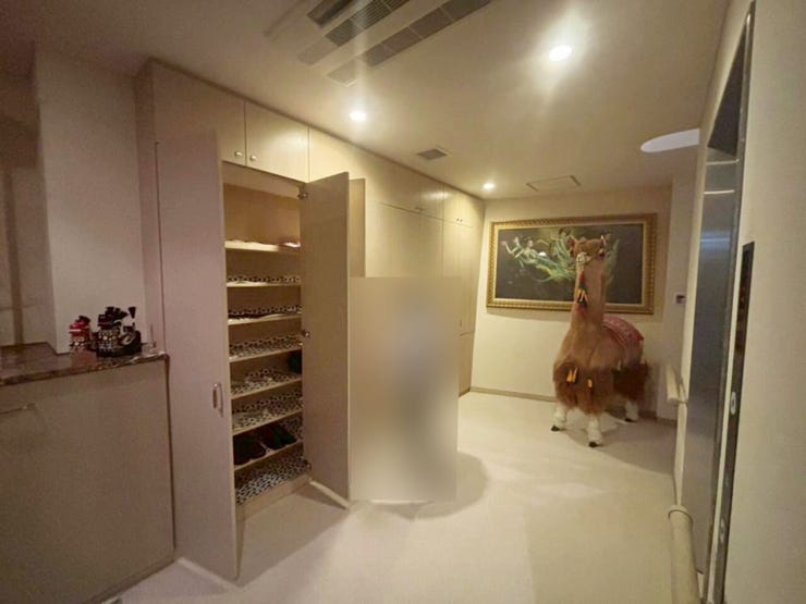 室内(2025年9月)撮影