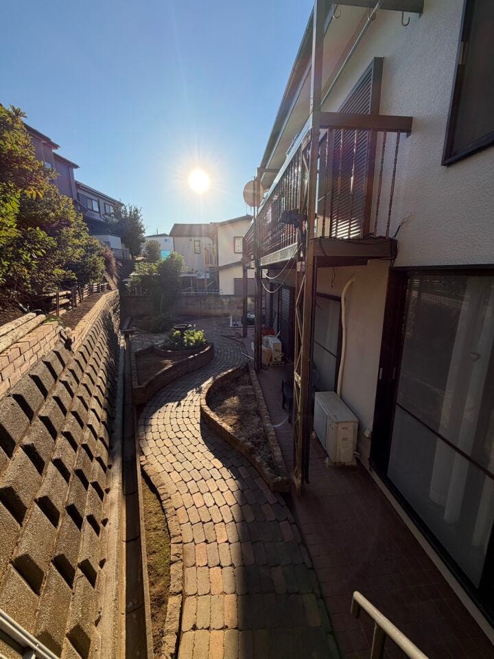 空いたスペースに植物を植えると、また雰囲気が変わります♪