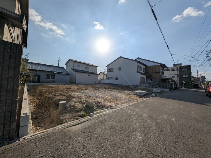 全体写真
2025/11/14撮影