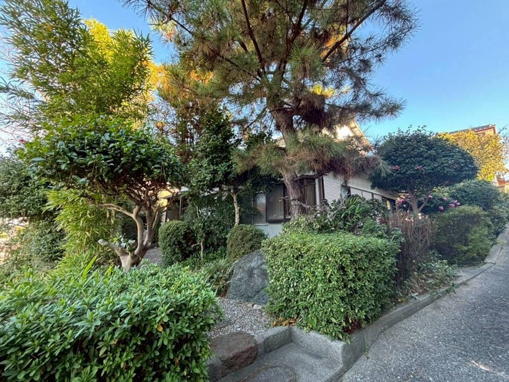 2025年12月9日撮影