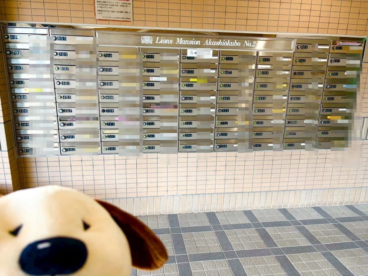 2025.12.9撮影
お問合せお待ち致しております!
【フリーダイヤル:0120-077-712】