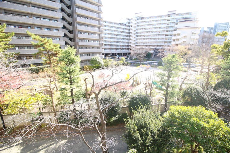 窓からの景色に、毎朝リセットされるような心地よさ。