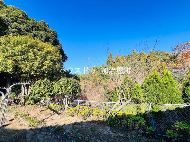 裏庭から見た景色です