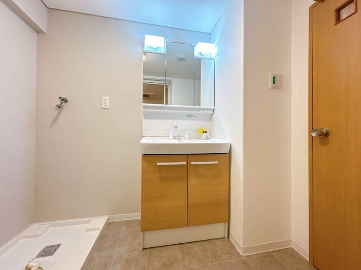 シャンプードレッサー付き洗面台が付いております◎