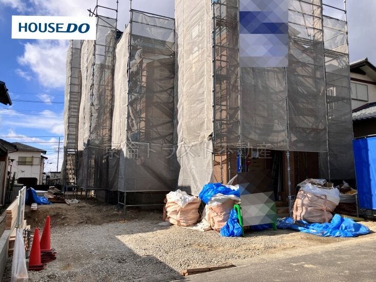 2026年1月11日撮影