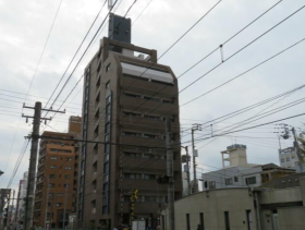 概観画像