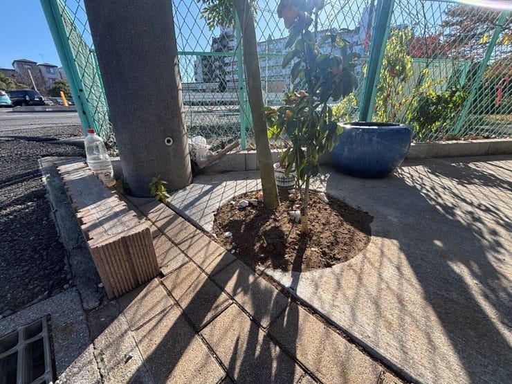 円型の植え込みが庭にあり、ちょっとしたガーデニングを楽しむことができます♪