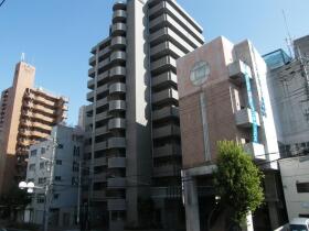 概観画像