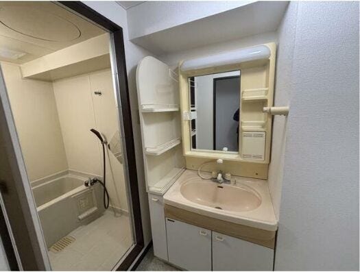 シャンプードレッサー