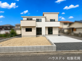 概観画像