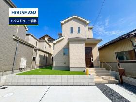 概観画像