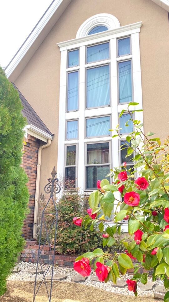 ガーデニングで中も外もお気に入りの空間へ♪