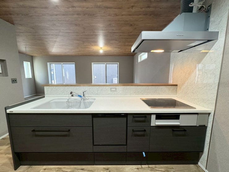 浄水器・食器洗い乾燥機付き