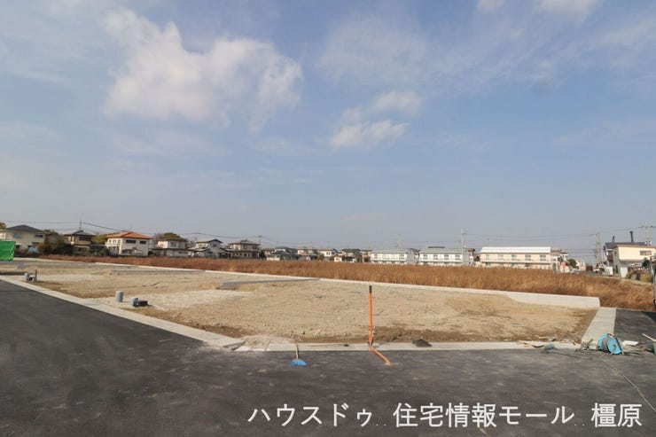 2026年1月16日撮影